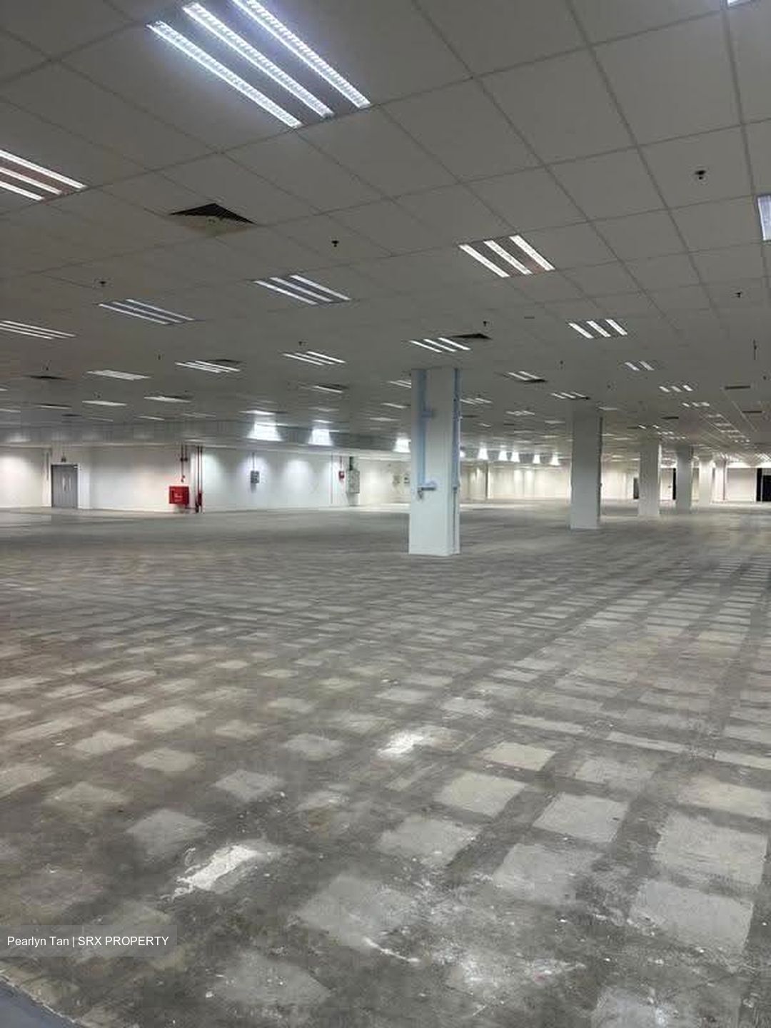 Tampines Industrial Avenue 5 (D18), Factory #624030321